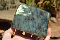 Polished Labradorite Standing Free Forms With Intense Blue & Gold Flash x 2 From Sakoany, Madagascar - TopRock