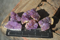 Natural Small Dark Amethyst Crystal Plates  x 70 From Mapatizya, Zambia - Toprock Gemstones and Minerals 