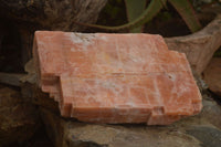 Natural Extra Large Sunset Orange Calcite Specimen x 1 From Spitzkop, Namibia