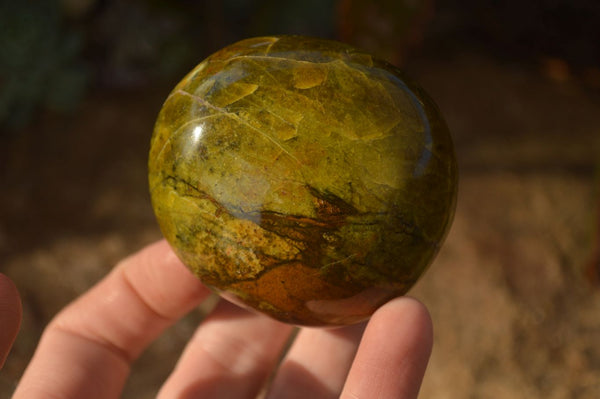 Polished  Green Opal Galet / Palm Stones x 7 From Antsirabe, Madagascar