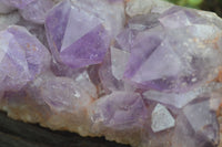 Natural Jacaranda Amethyst Cluster x 1 From Mumbwa, Zambia - TopRock