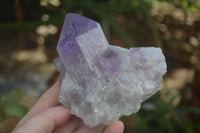 Natural Jacaranda Amethyst Clusters  x 3 From Mumbwa, Zambia - Toprock Gemstones and Minerals 