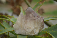 Natural Red Hematite Phantom Quartz Crystals  x 12 From Karoi, Zimbabwe - TopRock