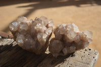 Natural Cascading Smokey Phantom Quartz Clusters x 2 From Luena, Congo