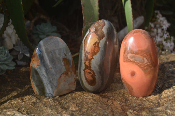 Polished Polychrome / Picasso Jasper Standing Free Forms  x 3 From Madagascar