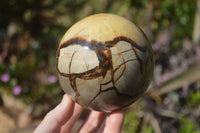 Polished Septaria (Calcite & Aragonite) Spheres  x 2 From Madagascar