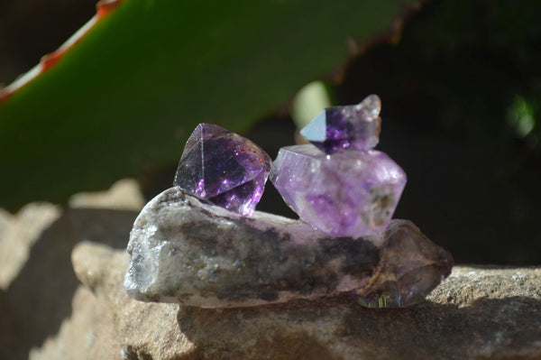 Natural Hand Made Chiredzi Amethyst Conglomerate Specimens x 13 From Chiredzi, Zimbabwe