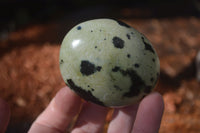 Polished Spotted Leopard Stone Gallets  x 12 From Zimbabwe