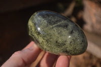 Polished Leopard Stone Palm Stones  x 12 From Zimbabwe