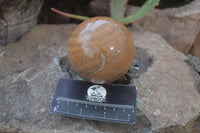 Polished Picture Stone Spheres  x 4 From Namibia