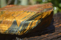 Natural Golden Blue Tigers Eye Specimens  x 2 From Prieska, South Africa - TopRock