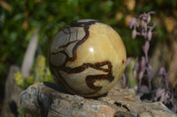 Polished Septaria (Calcite & Aragonite) Spheres  x 2 From Madagascar