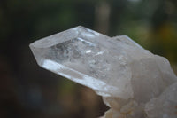 Natural Mixed Selection Of Quartz Specimens  x 6 From Southern Africa - Toprock Gemstones and Minerals 