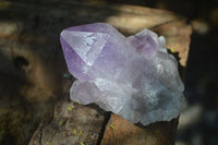 Natural Jacaranda Amethyst Clusters  x 3 From Mumbwa, Zambia - Toprock Gemstones and Minerals 