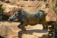 Polished Extra Large Serpentine Warthog Carving  x 1 From Zimbabwe - TopRock