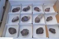 Natural Window Amethyst Quartz Crystals  x 12 From Chiredzi, Zimbabwe