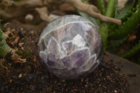 Polished Smokey Flower Amethyst Sphere  x 1 From Madagascar - TopRock