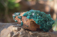 Natural Classic Emerald Dioptase Crystal Specimens  x 2 From Likasi, Congo