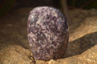 Polished  Lovely Purple Lepidolite Standing Free Forms  x 4 From Zimbabwe