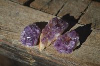 Natural Small Dark Amethyst Crystal Plates  x 70 From Mapatizya, Zambia - Toprock Gemstones and Minerals 