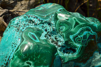 Polished Beautiful Extra Large Malacholla (Chrysocolla & Malachite) Free Form  x 1 From Congo - TopRock