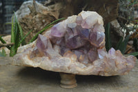 Natural Jacaranda Amethyst Cluster x 1 From Mumbwa, Zambia - TopRock