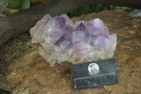 Natural Jacaranda Amethyst Cluster x 1 From Mumbwa, Zambia - TopRock