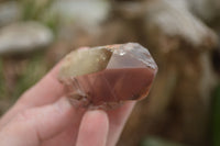 Natural Red Hematite Phantom Quartz Crystals  x 12 From Karoi, Zimbabwe - TopRock