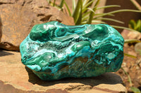 Polished Beautiful Extra Large Malacholla (Chrysocolla & Malachite) Free Form  x 1 From Congo - TopRock