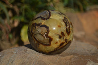 Polished Septaria (Calcite & Aragonite) Spheres  x 2 From Madagascar