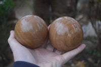 Polished Picture Stone Spheres  x 4 From Namibia