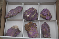 Natural Rough Purpurite Cobbed Specimens  x 6 From Namibia - TopRock