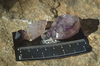 Natural Smokey Window Amethyst Crystals  x 12 From Chiredzi, Zimbabwe