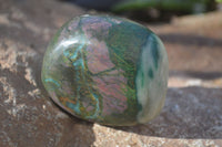 Polished Green Verdite Galet / Palm Stones x 6 From Zimbabwe