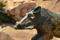 Polished Extra Large Serpentine Warthog Carving  x 1 From Zimbabwe - TopRock