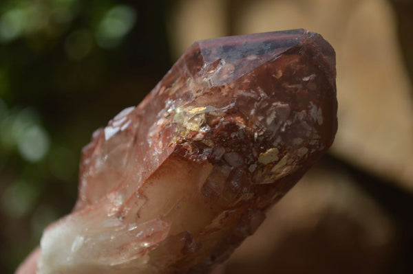 Natural Red Hematoid Quartz Specimens x 6 From Karoi, Zimbabwe