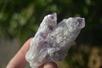 Natural Sugar Amethyst Crystal Clusters  x 24 From Zambia - Toprock Gemstones and Minerals 