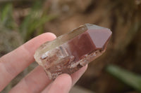 Natural Red Hematite Phantom Quartz Crystals  x 12 From Karoi, Zimbabwe - TopRock