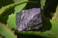 Natural Metallic Purpurite Cobbed Specimens x 12 From Erongo, Namibia