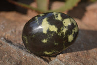 Polished Leopard Stone Palm Stones  x 12 From Zimbabwe