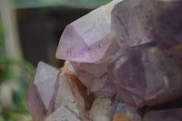 Natural Jacaranda Amethyst Cluster x 1 From Mumbwa, Zambia - TopRock