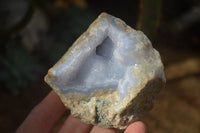 Natural Blue Lace Agate Geode Specimens  x 6 From Nsanje, Malawi - Toprock Gemstones and Minerals 