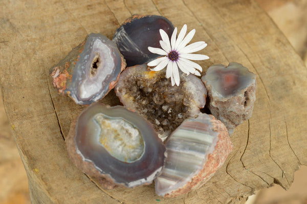 Polished One Side Polished River Agate Nodules  x 6 From Zimbabwe - TopRock