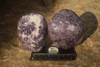 Polished  Lovely Purple Lepidolite Standing Free Forms  x 4 From Zimbabwe