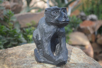 Polished Groovy Black Soap Stone Baboon Carving  x 1 From Zimbabwe - Toprock Gemstones and Minerals 