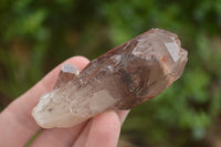 Natural Red Hematite Phantom Quartz Crystals  x 12 From Karoi, Zimbabwe - TopRock