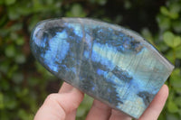 Polished Flashy Labradorite Standing Free Forms  x 3 From Madagascar - TopRock