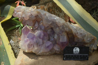 Natural Jacaranda Amethyst Cluster x 1 From Mumbwa, Zambia - TopRock