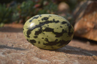 Polished Leopard Stone Palm Stones  x 12 From Zimbabwe