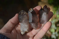 Natural Window Amethyst Quartz Crystals  x 12 From Chiredzi, Zimbabwe